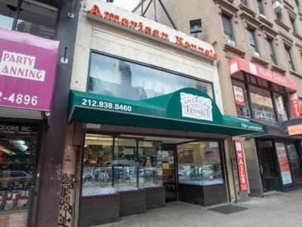 798 Lexington Ave, New York, NY à louer - Photo principale – Image 1 sur 2