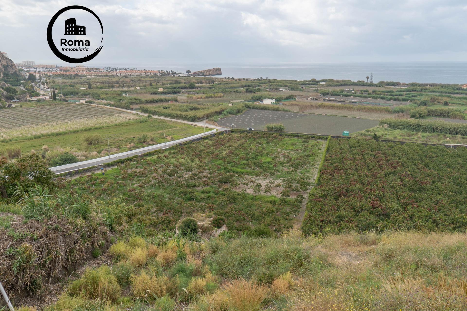 Carretera Málaga, 74, Salobreña, Granada à vendre Photo principale– Image 1 sur 51