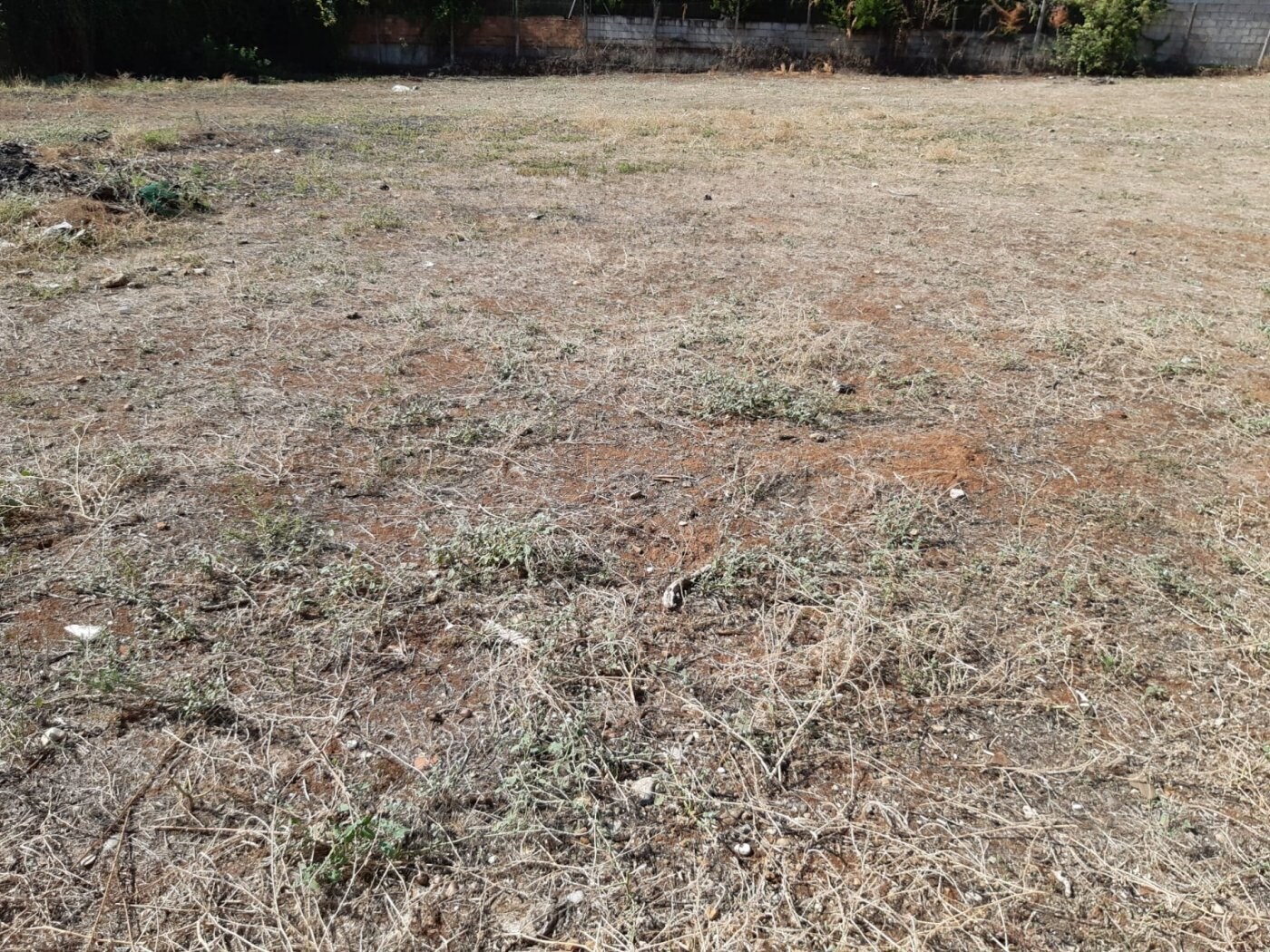 Terrain dans Córdoba, Córdoba à vendre Plan de site– Image 1 sur 7