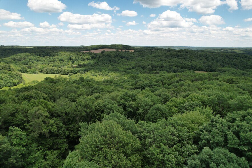11811 Gaston Rd, Negley, OH à vendre - Photo de l’immeuble – Image 3 sur 21