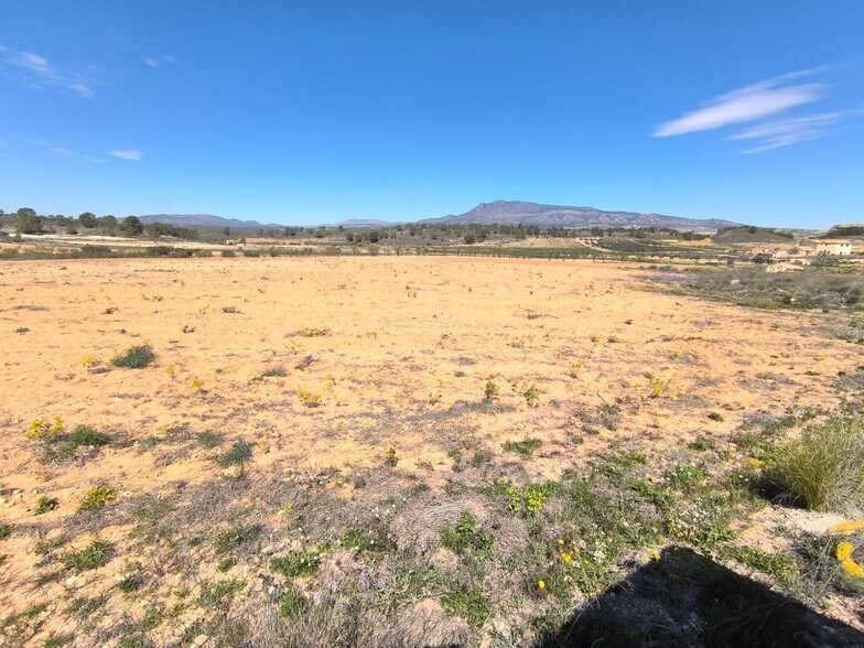 Terrain dans Jumilla, Murcia à vendre - Photo principale – Image 1 sur 4