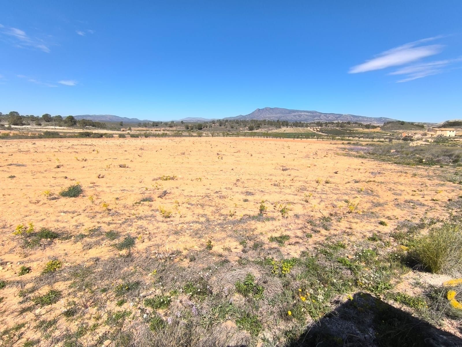 Terrain dans Jumilla, Murcia à vendre Photo principale– Image 1 sur 5
