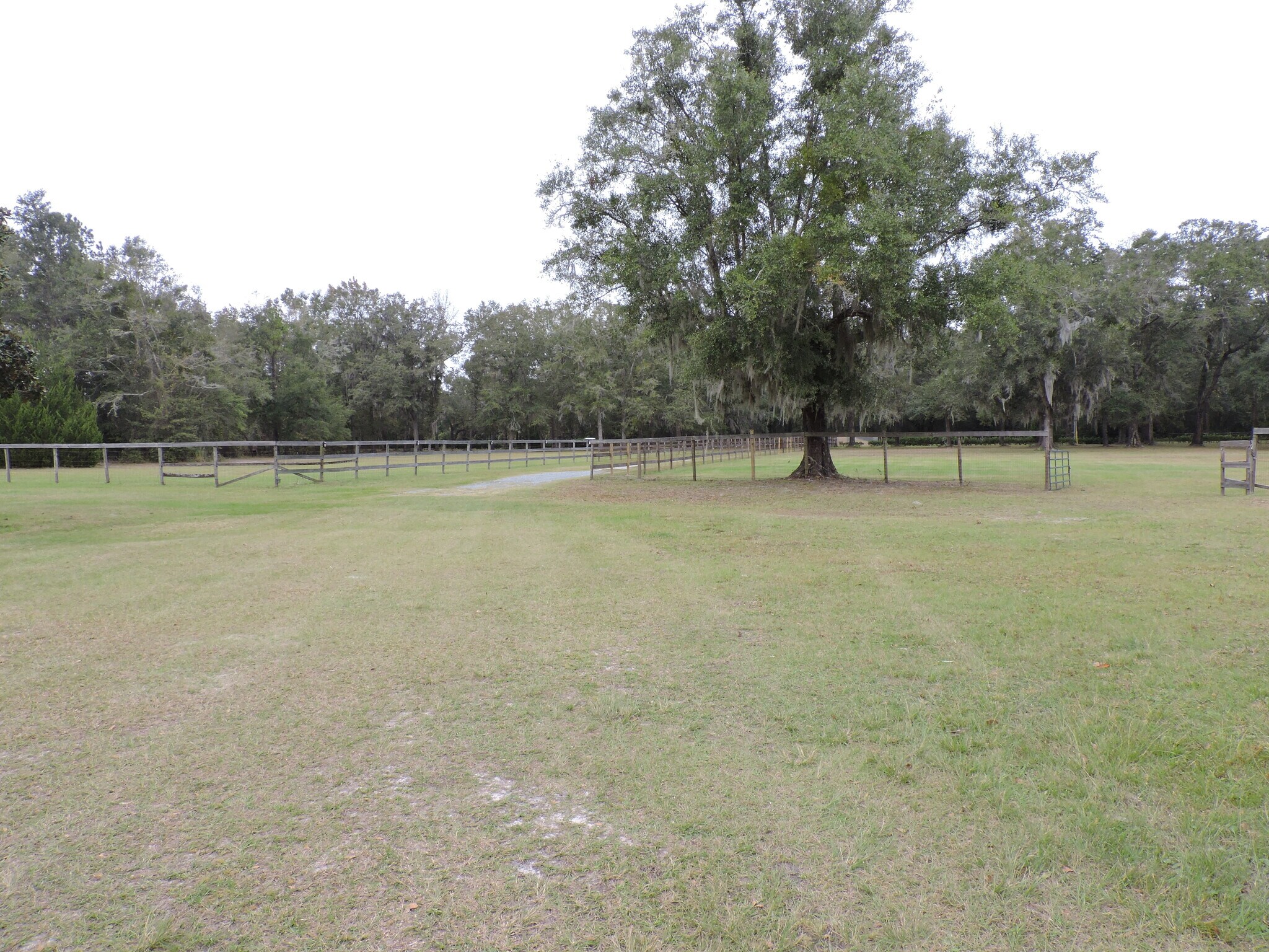 3750A County Road 315A, Green Cove Springs, FL à vendre Photo principale– Image 1 sur 35