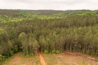 Plus de détails pour HWY 515 & Hidden Creek rd, Jasper, GA - Terrain à vendre