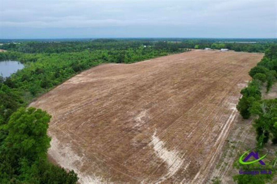 Chester Alamo Hwy, Chester, GA à vendre - Photo de l’immeuble – Image 3 sur 10