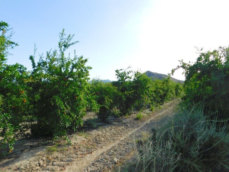 Terrain dans Orihuela, Alicante à vendre - Photo principale – Image 3 sur 5
