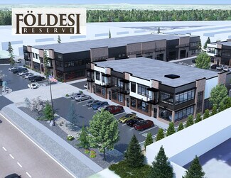 Plus de détails pour 3915 N Ten Mile Rd, Meridian, ID - Local d’activités à vendre