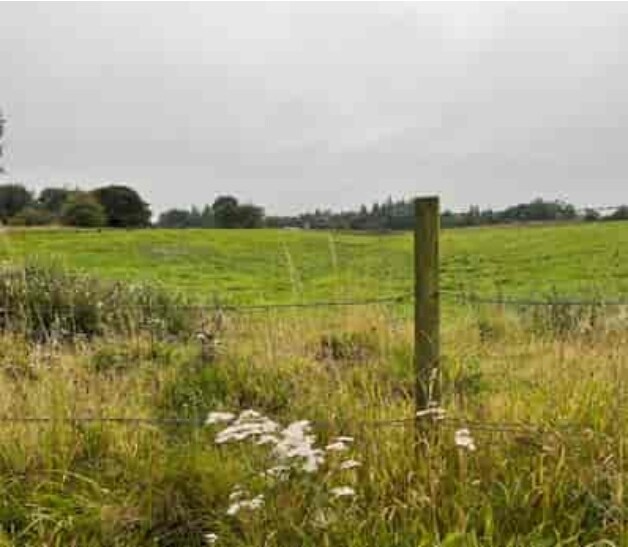 Maryburgh, Kelty à vendre - Autre – Image 3 sur 7