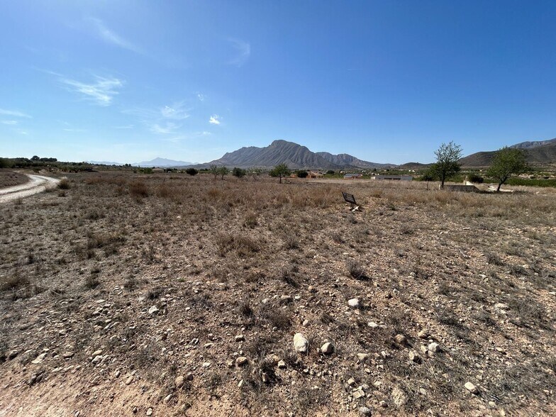 Terrain dans Orihuela, Alicante à vendre - Photo de l’immeuble – Image 2 sur 2