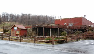 Plus de détails pour 3782 Pa-31, Donegal, PA - Local commercial à louer