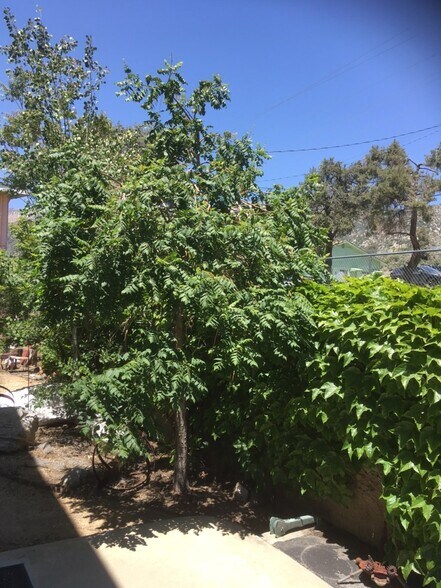 3212 Mt Pinos Way, Frazier Park, CA à vendre - Photo de l’immeuble – Image 3 sur 32