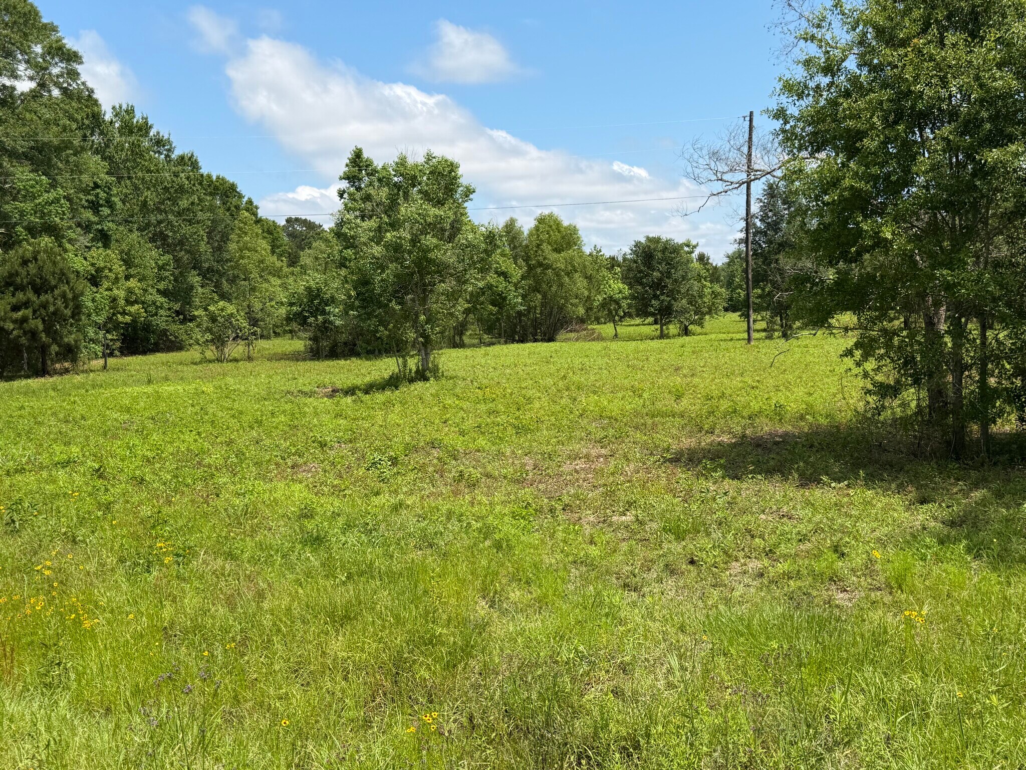 3836 MS-43, Picayune, MS à vendre Photo principale– Image 1 sur 10