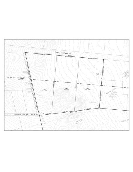 TBD Hwy 29, Burnet, TX à vendre - Plan de site – Image 3 sur 4