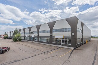Plus de détails pour 3921 81st Ave, Leduc, AB - Industriel/Logistique à louer