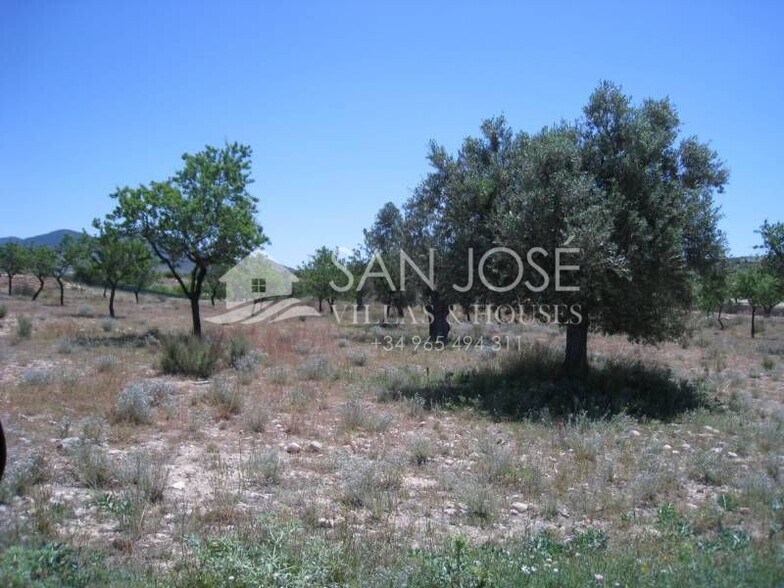 Terrain dans Hondón de los Frailes, Alicante à vendre - Photo principale – Image 1 sur 1