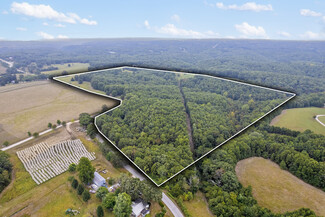 Plus de détails pour 808 Coon Ridge rd, Galena, MO - Terrain à vendre