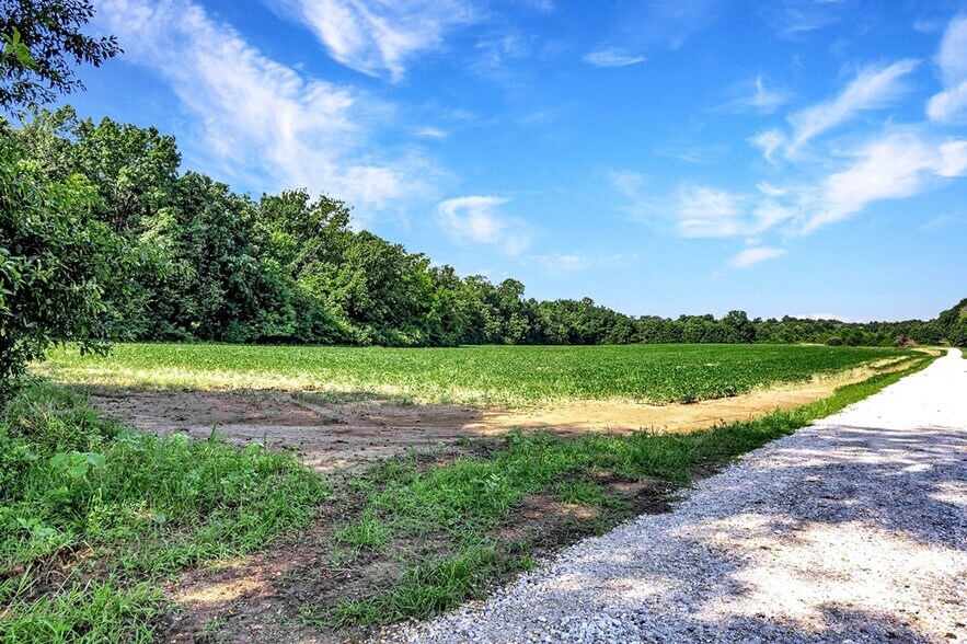Cave Farm Rd. (86.91+/- Acres), Troy, MO à vendre - Photo de l’immeuble – Image 3 sur 51