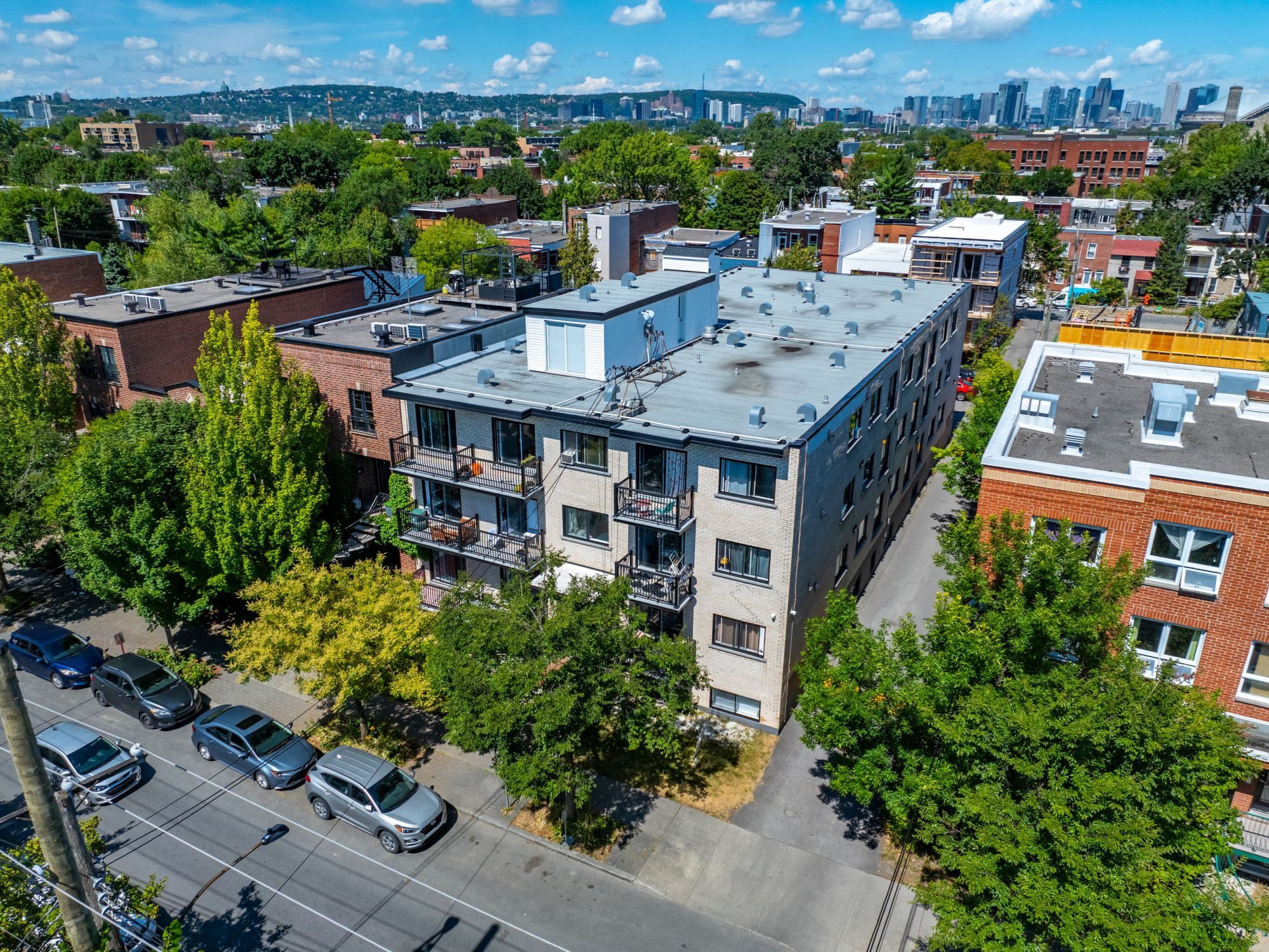 315 Rue Rielle, Verdun, QC à vendre Photo principale– Image 1 sur 10