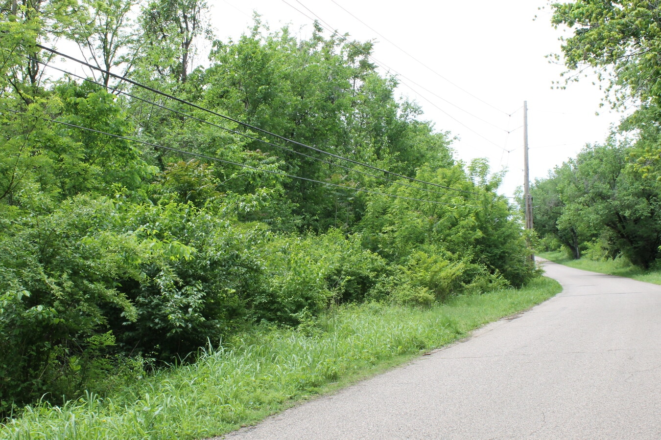 View Photo