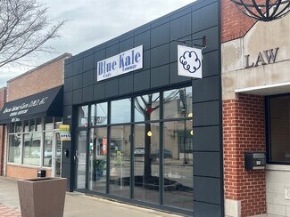 Plus de détails pour 4907 Oakton St, Skokie, IL - Local commercial à vendre