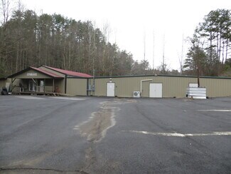 Plus de détails pour 3875 Tails Creek Rd, Ellijay, GA - Local commercial à vendre