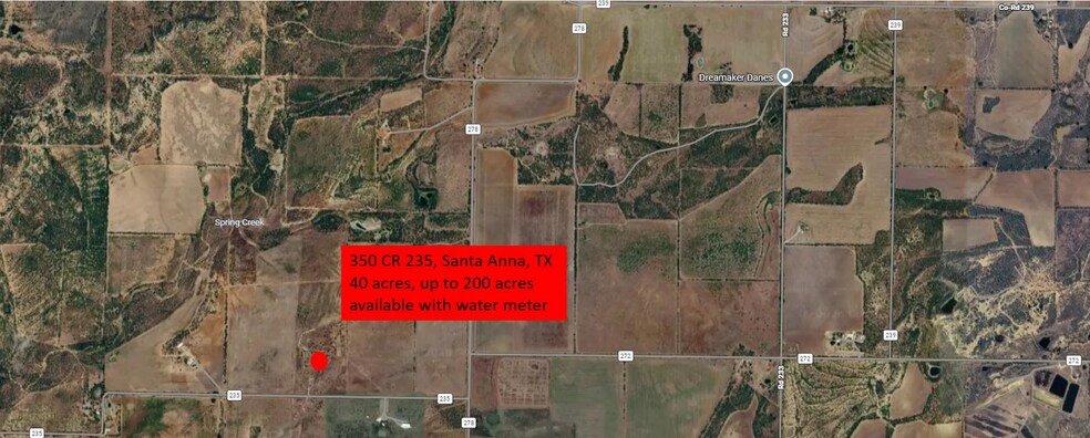 350 County Road 235, Santa Anna, TX à vendre - Photo principale – Image 1 sur 2