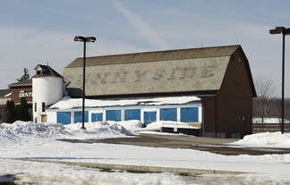 Plus de détails pour 7892 Broadview Rd, Cleveland, OH - Local commercial, Industriel/Logistique à louer