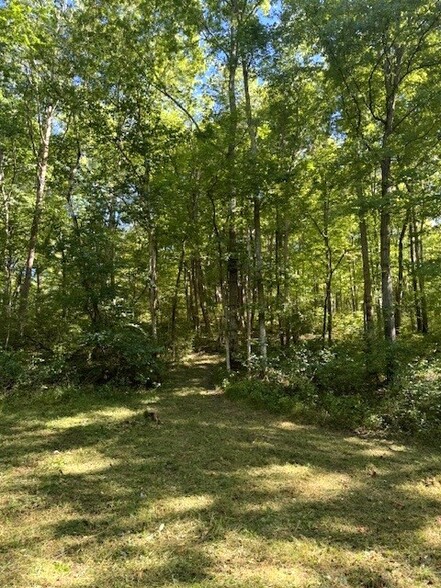 264 Ritchie Rd, Carlisle, KY à vendre - Autre – Image 2 sur 6