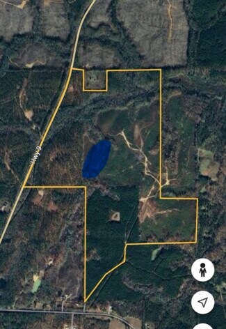 Plus de détails pour 10831 Highway 9, Kellyton, AL - Terrain à vendre