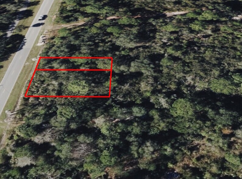 734 Osteen Maytown rd, Osteen, FL à vendre - Photo de l’immeuble – Image 2 sur 4