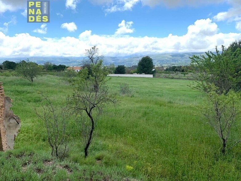 Terrain dans València, Valencia à vendre - Aérien – Image 1 sur 3