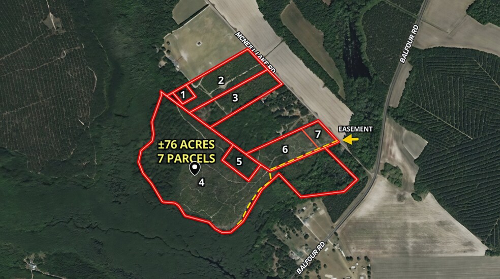 McNeill Lake Rd, Lumber Bridge, NC à vendre - Aérien – Image 2 sur 10