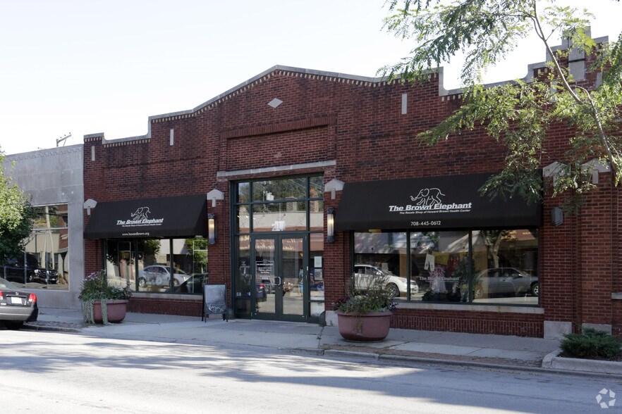 217 Harrison St, Oak Park, IL à louer - Photo principale – Image 1 sur 4