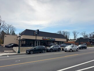 Plus de détails pour 255 S Easton Rd, Glenside, PA - Local commercial à vendre