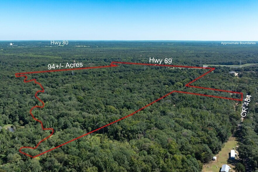 00 Hwy 69/CR 484 hwy, Mineola, TX à vendre - Photo de l’immeuble – Image 3 sur 18