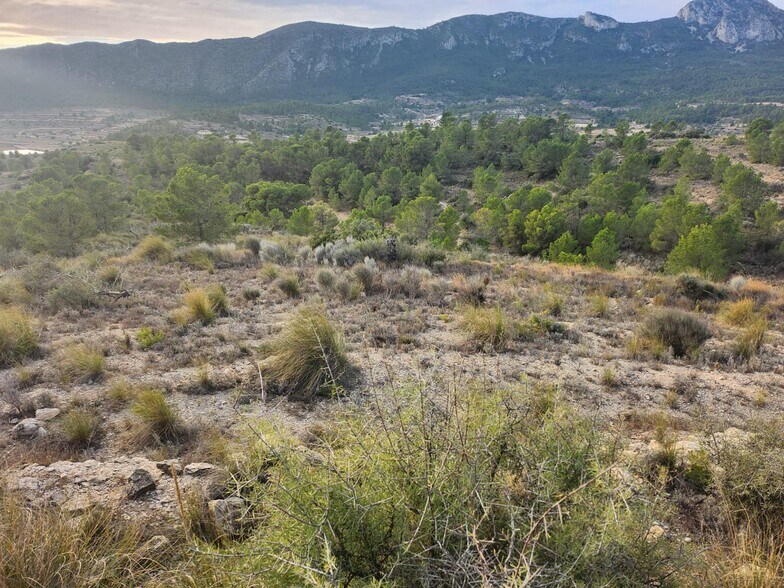 Terrain dans La Romana, Alicante à vendre - Aérien – Image 3 sur 8