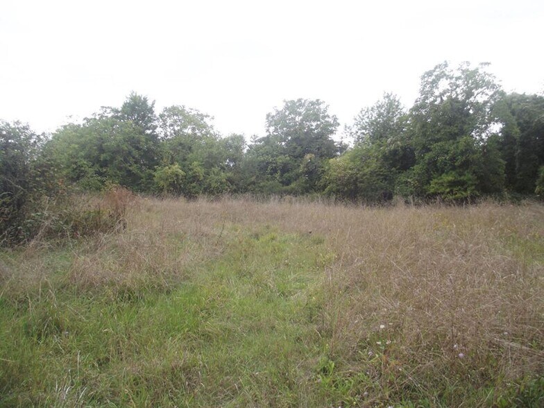 Terrain dans Chavanges à vendre - Plan de site – Image 2 sur 2