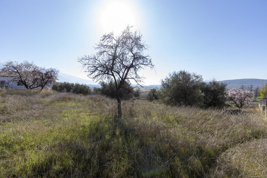 Nc, Padul, Granada à vendre - Photo principale – Image 1 sur 28