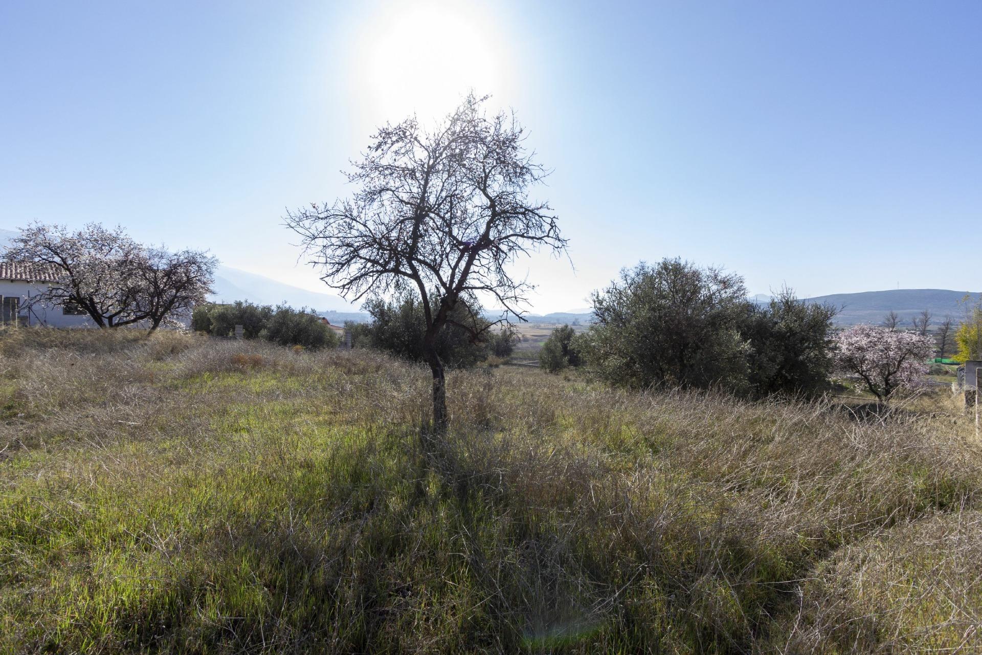 Nc, Padul, Granada à vendre Photo principale– Image 1 sur 29