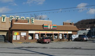 Plus de détails pour 22 Grant Ave, Pittsburgh, PA - Local commercial à vendre