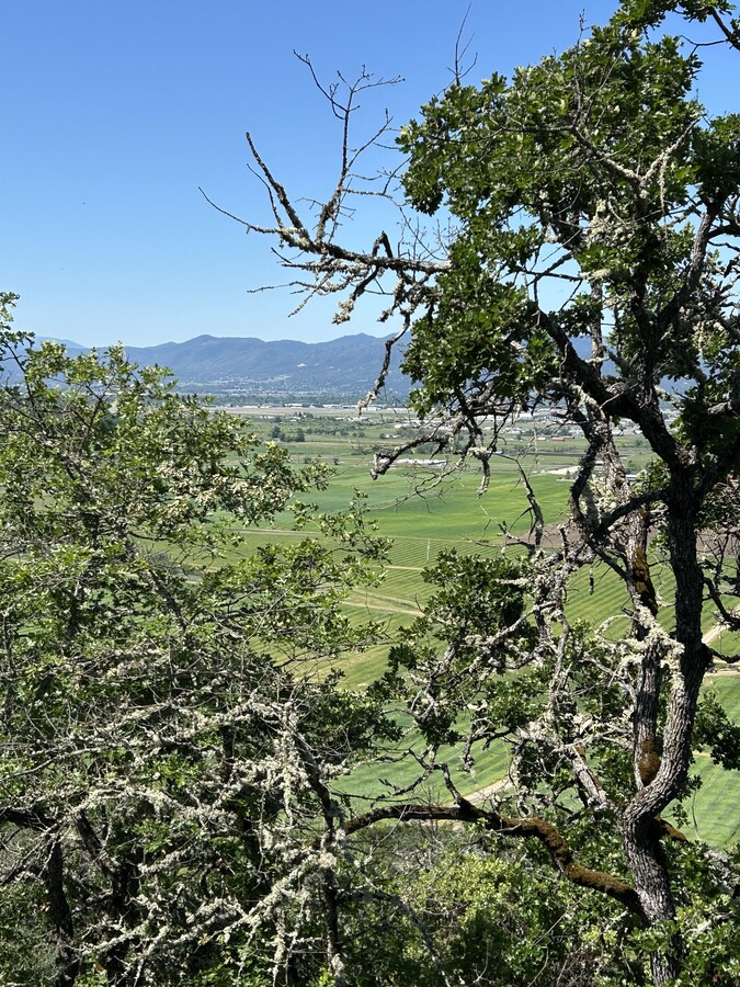 View Photo