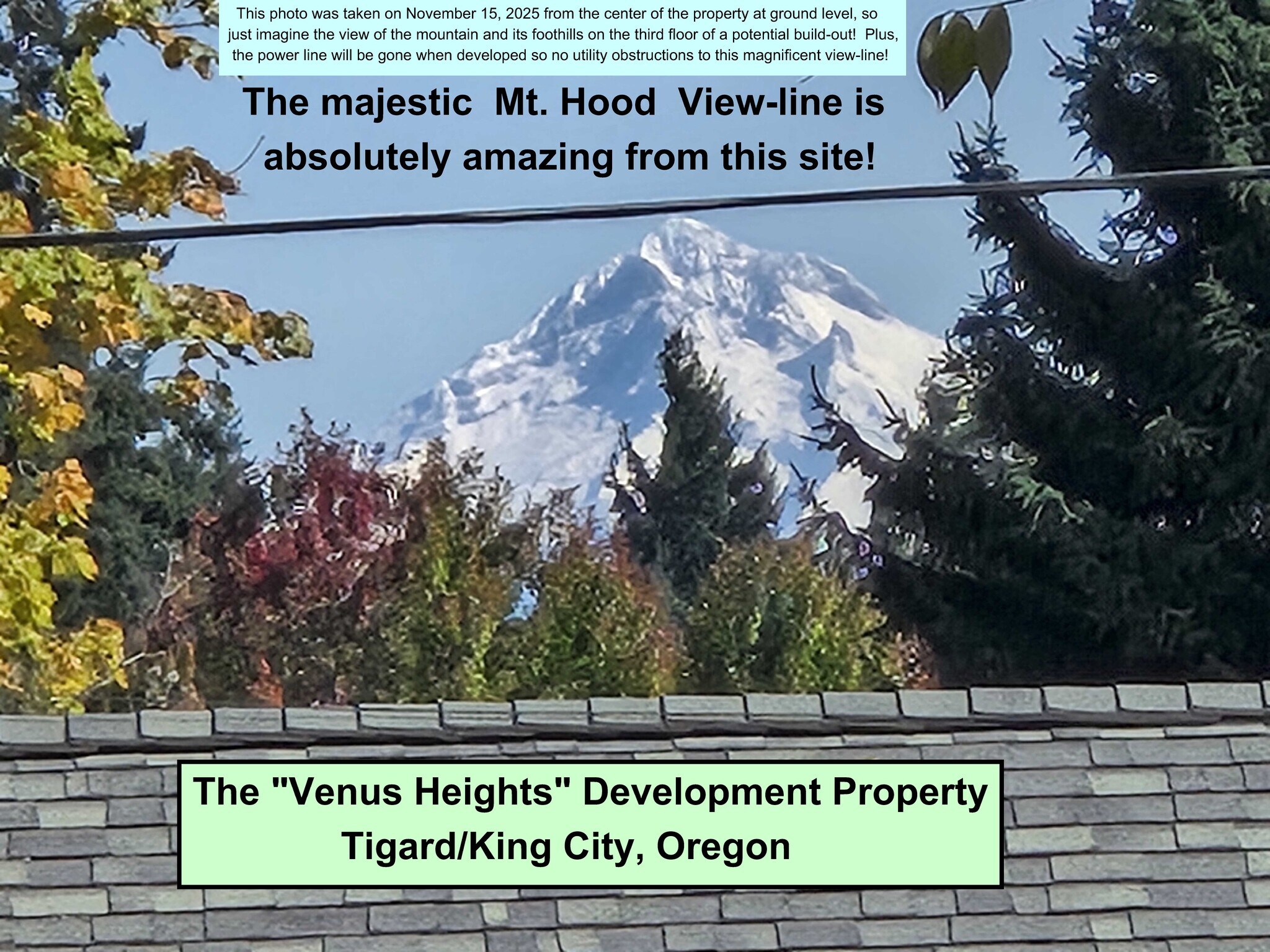 14185 SW 100th Ave, Tigard, OR à vendre Photo de l’immeuble– Image 1 sur 33