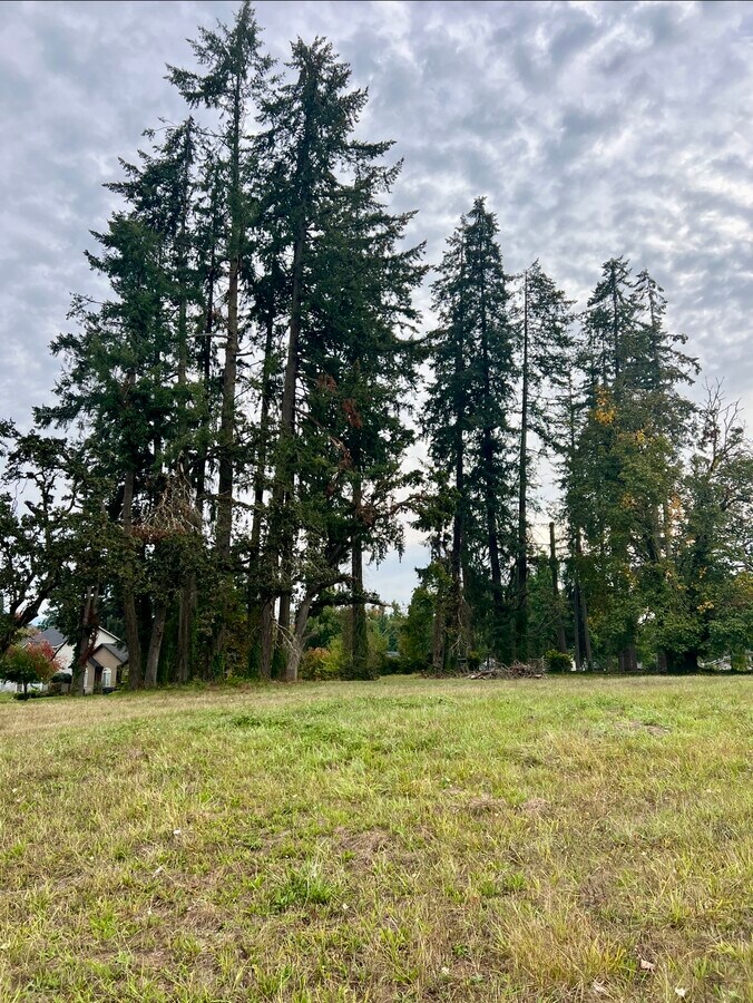View Photo