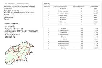 Plus de détails pour Paraje 346 Yeseras, 4, Torvizcón - Terrain à vendre