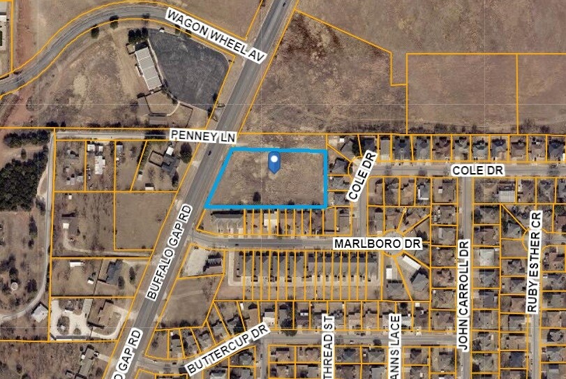 7449 Buffalo Gap Rd, Abilene, TX à vendre - Plan cadastral – Image 2 sur 3