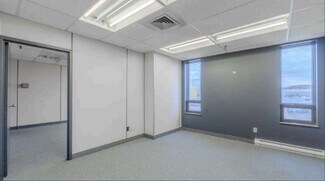 Plus de détails pour 453 Rue Deslauriers, Saint-Laurent, QC - Industriel/Logistique à louer