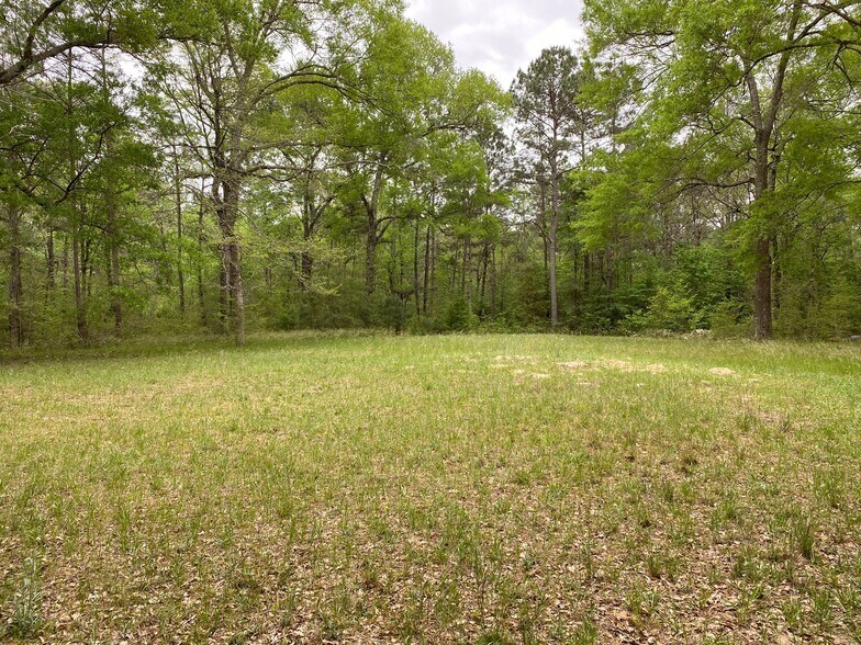 1700 Little John Street, Montgomery, TX à vendre - Photo de l’immeuble – Image 2 sur 17