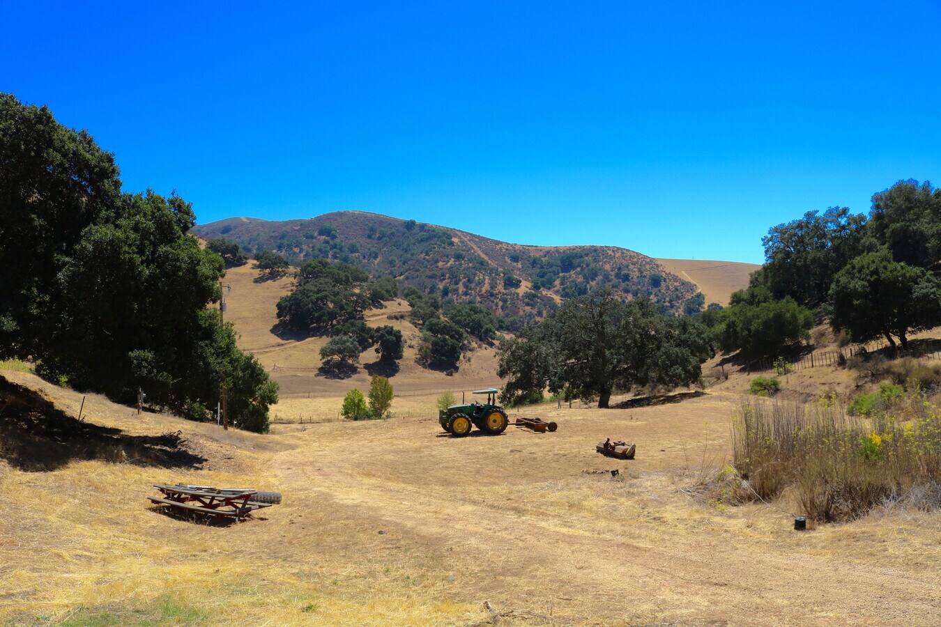 View Photo