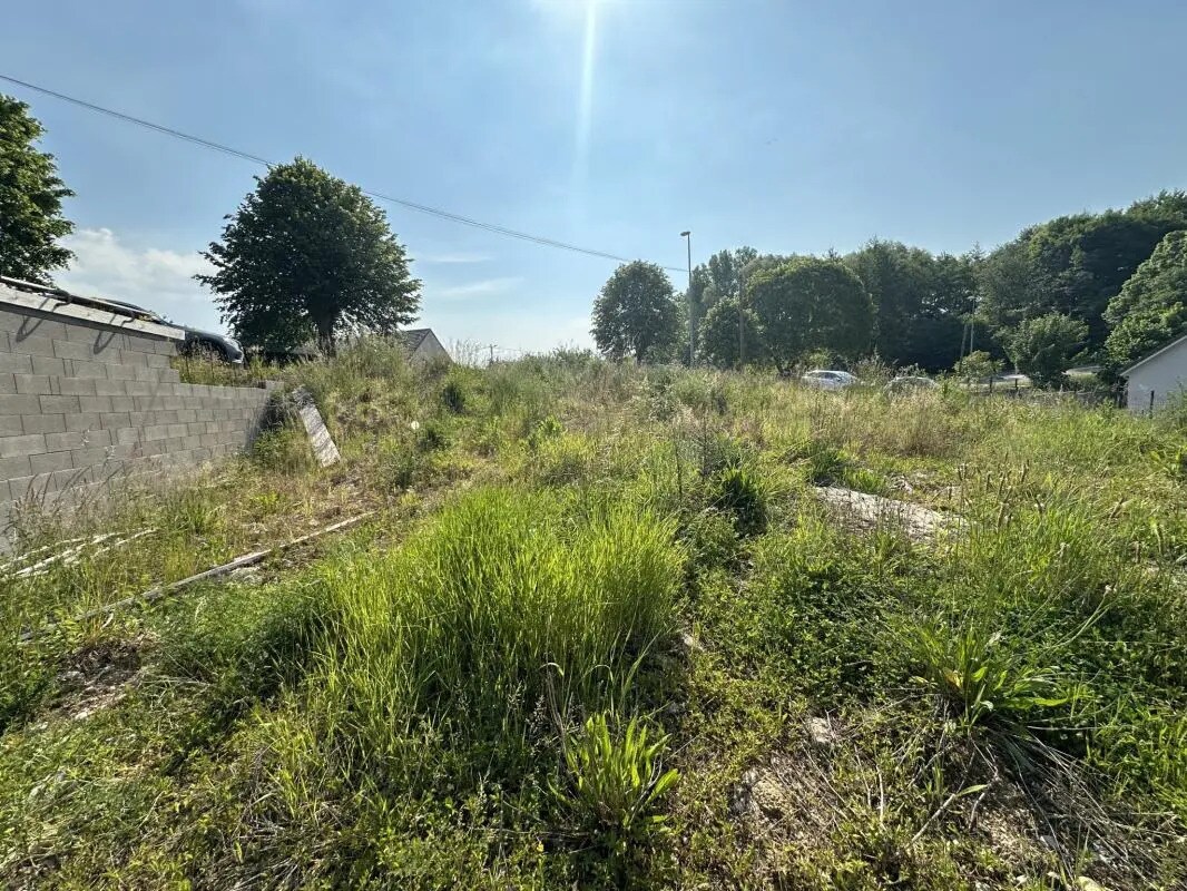 Terrain dans Maizeroy à vendre Plan de site– Image 1 sur 5