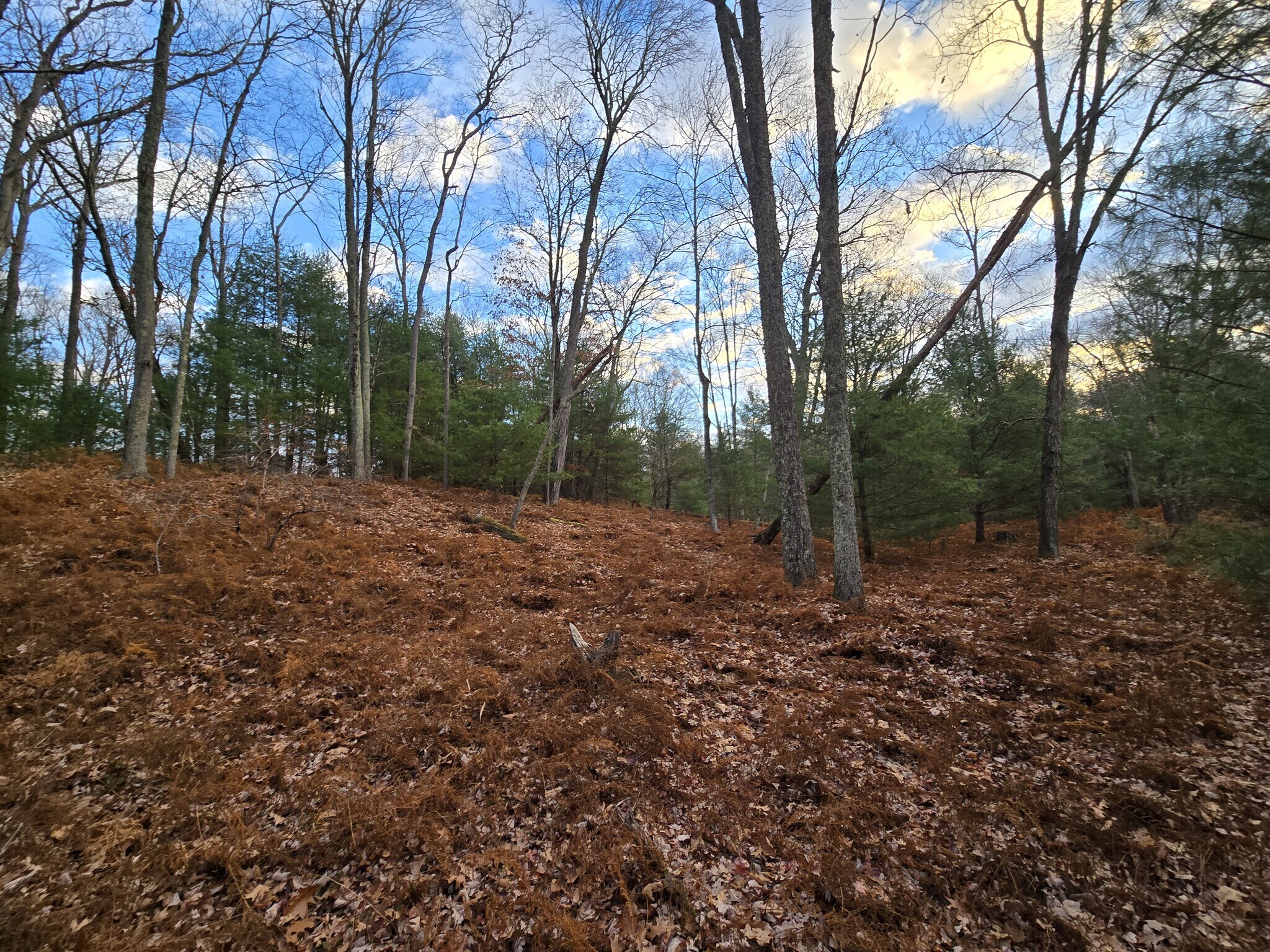 3 Bond Ct, Milford, PA à vendre Photo principale– Image 1 sur 9